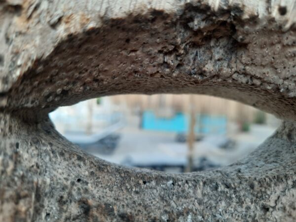 #! Trpst#trp-gettext data-trpgettextoriginal=9382#! Trpen#costa adeje, Teneriffa - bild 3#! Trpst#/trp-gettext#! Trpen#