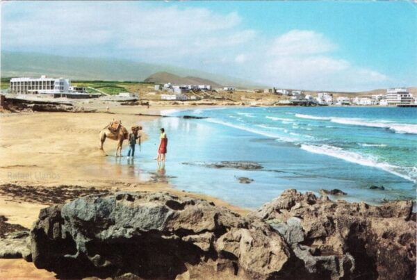 #! Trpst#trp-gettext data-trpgettextoriginal=9382#! Trpen#el medano, Teneriffa - bild 5#! Trpst#/trp-gettext#! Trpen#