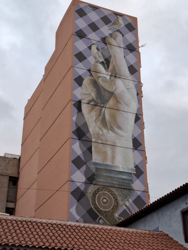 Puerto de la cruz, tenerife - image 5