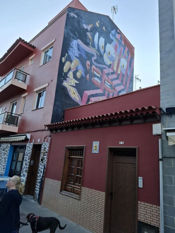 Puerto de la cruz sreet art, tenerife - image 6