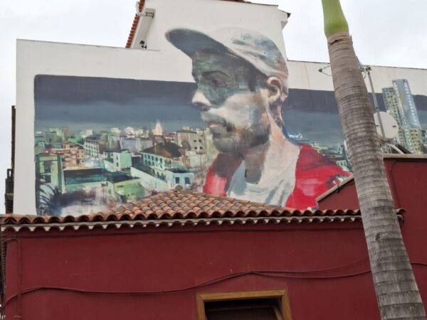 Puerto de la cruz sreet art, tenerife - image 3