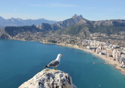 Nueva experiencia alicante escape room
