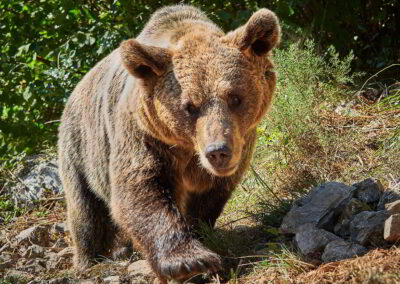 Villanueva scavenger hunt