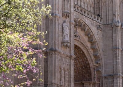 Team building and birthday parties in palma