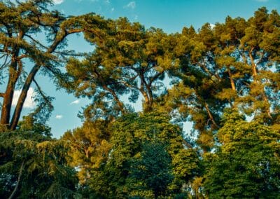 Madrid retiro puzzle adventure